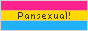 A button with the pansexual flag in the background and the text 'Pansexual!' in the center.