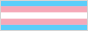 A button of the transgender flag.