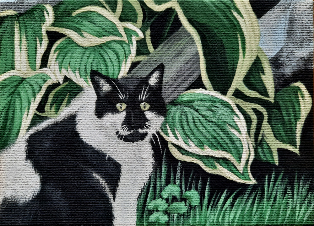 A painting of a black and white cat in front of a hosta.